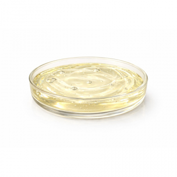 Plantapon LGC Sorb 1 l